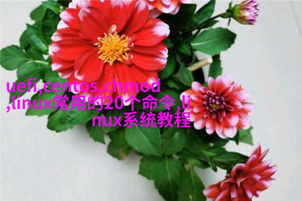 图4:精致剃须刀架