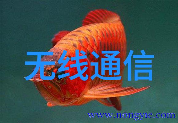 设计本创意不限故事开始