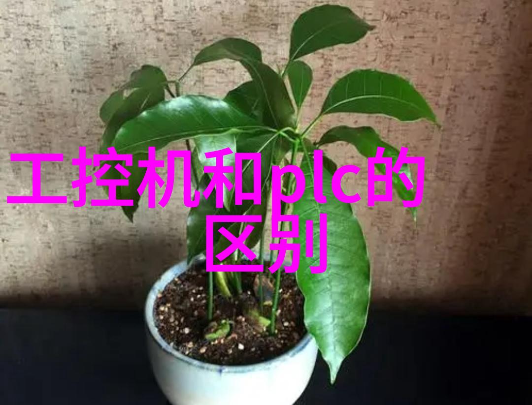 厨房美化指南吊顶装饰图解实用技巧