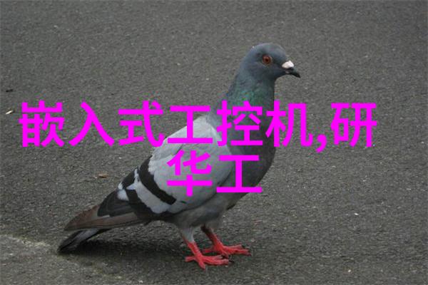 桂花新品种香气四溢的绿色宝石