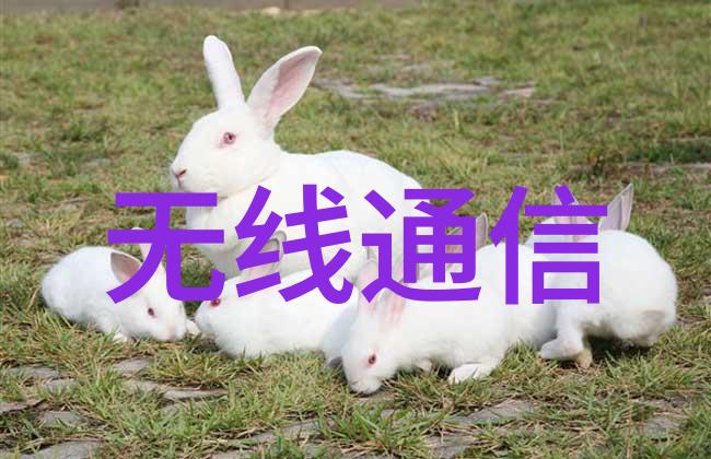 净化水设备生产-蓝色天空高效净化水设备的生产与创新