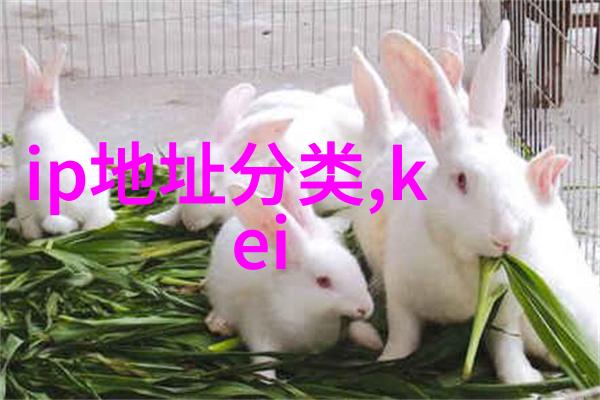 对于年轻人来说参与哪种类型的倍智培训更有帮助呢