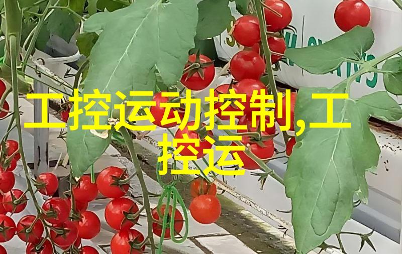 专家解答带套是否需要检测健康安全知识