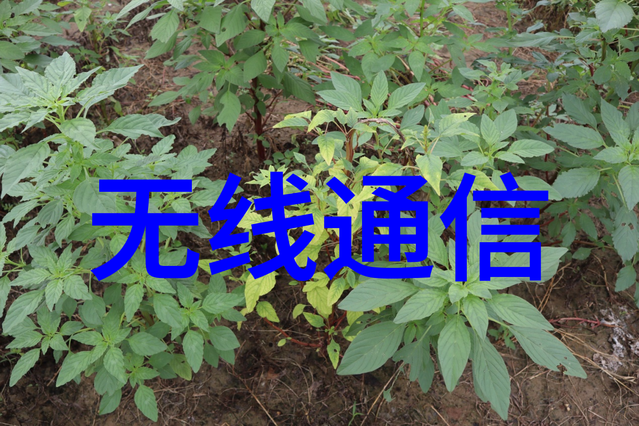 工业高压反应釜重工制造的强力容器
