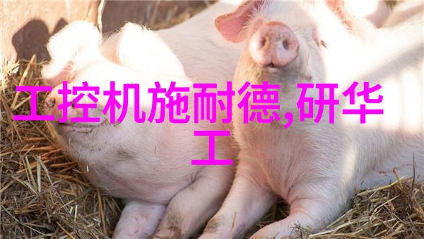 暗夜蔷薇魅影