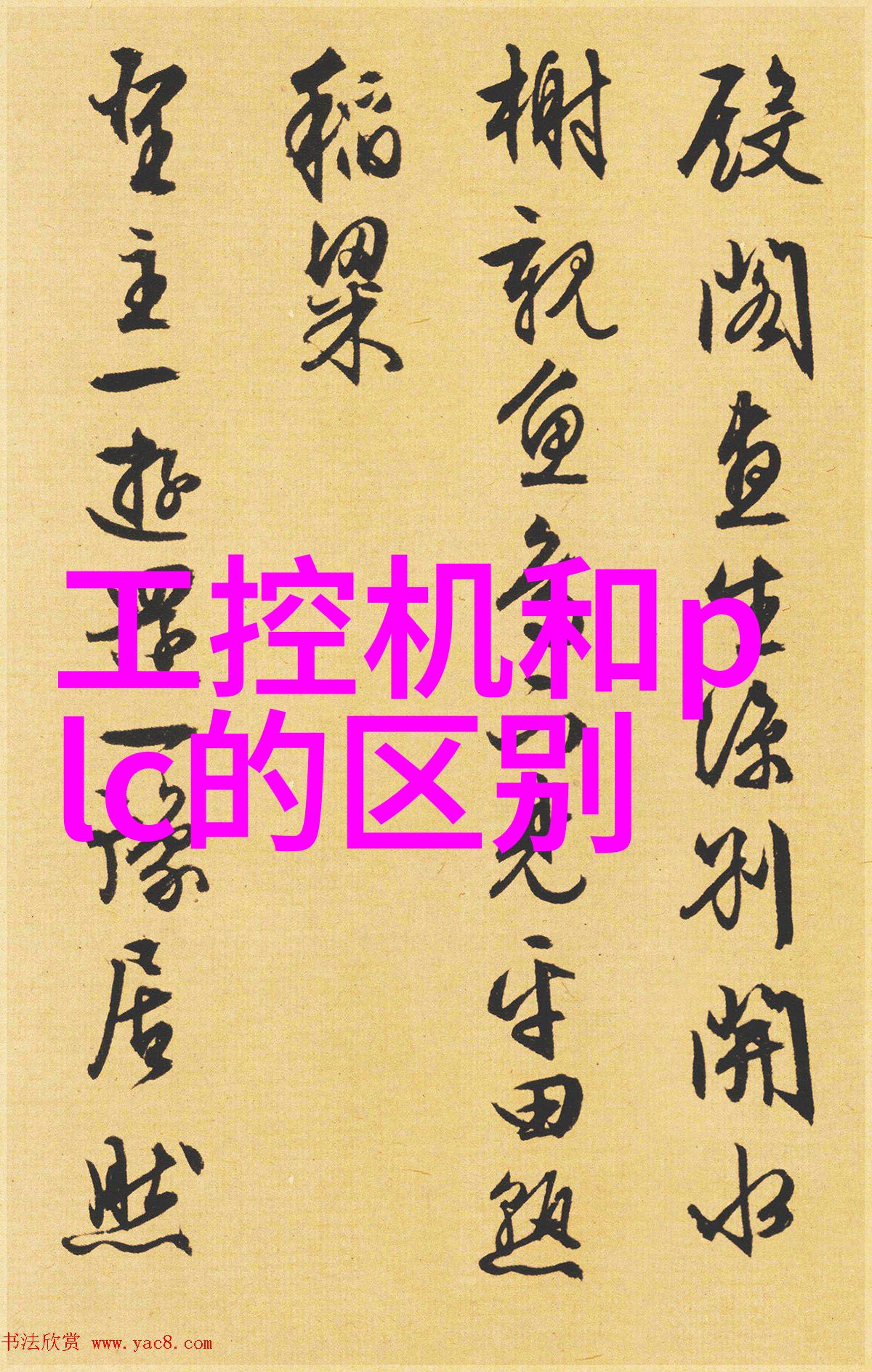 城市之脉公交车轮C多肉的故事