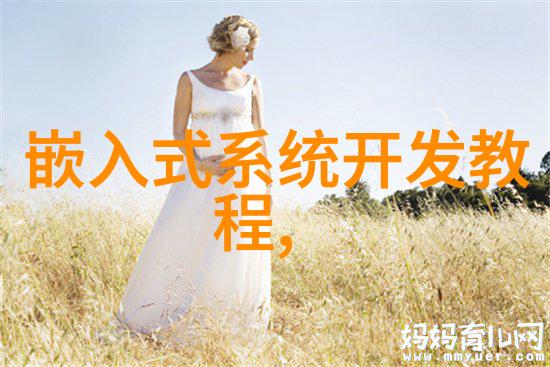 仿实木地板的魅力探索自然美与耐用科技的完美结合