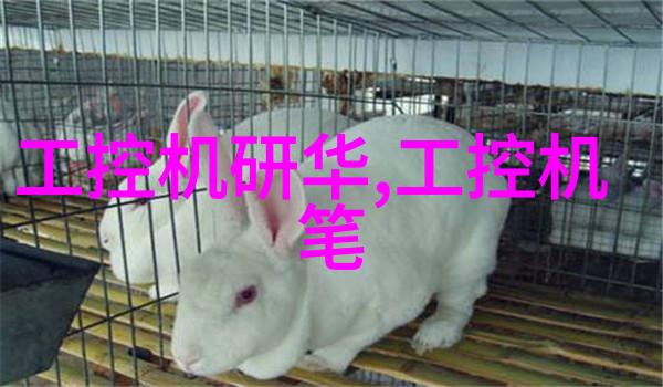 一二三四五类水质标准解析了解每个级别的含义
