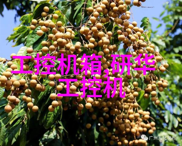 亲情与友情之差别谁更像你的保驾护航