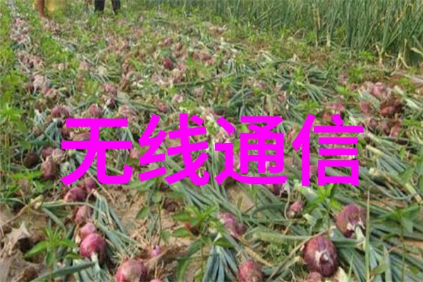 压缩机内部流体运动过程中摩擦作用有多大影响力