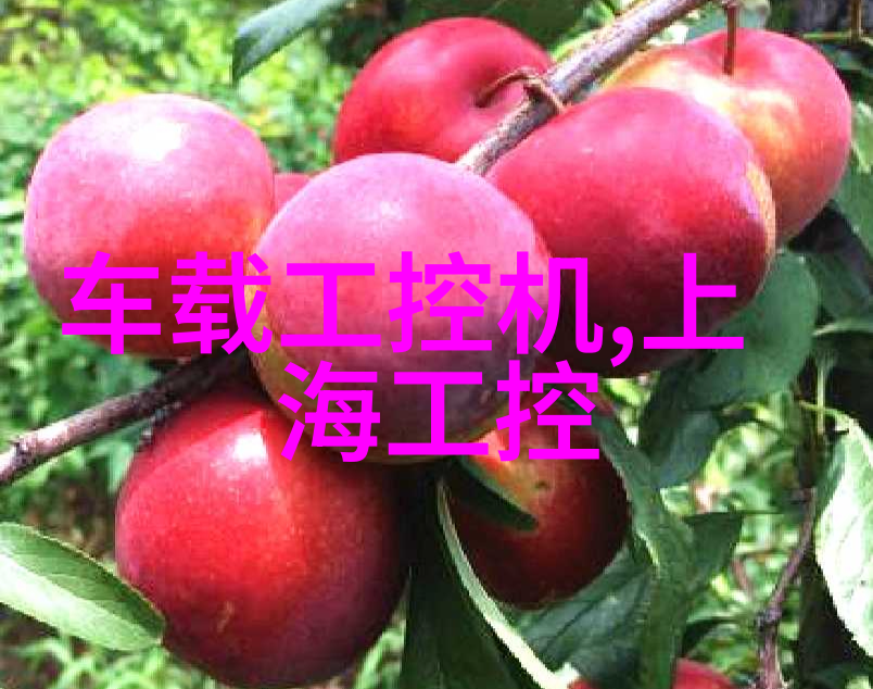 古典韵味与现代魅力成都装修设计公司的反差艺术