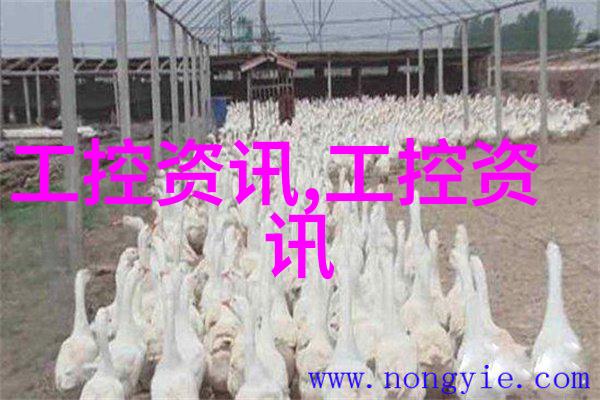厨房改造-精致生活如何选择合适的橱柜装修风格