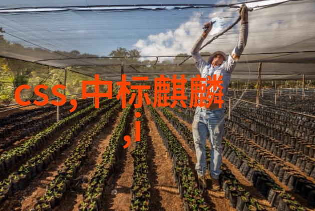 水产养殖精准监测揭秘高效的水质仪器应用与技术