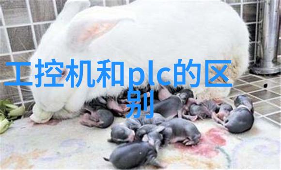 物理实验利用烤箱观察金属表面颜色变化以学习热传导法则