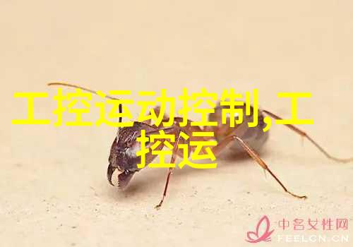 高压蒸汽灭菌锅规格型号专业医疗级别的高效消毒设备
