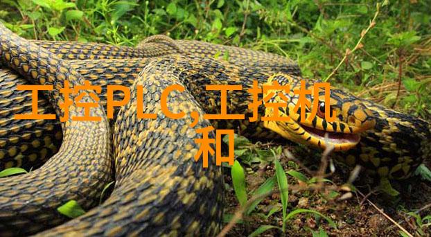 天龙八部网络版发布江湖大典的数字重现