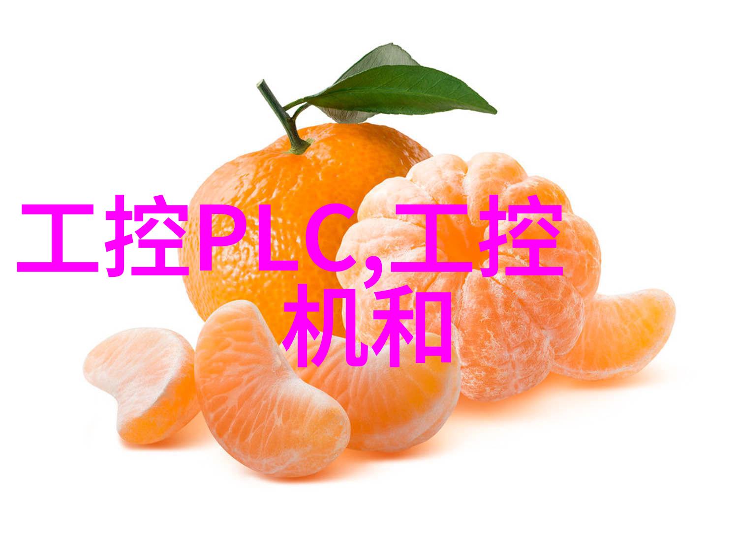 大型中药提取浓缩设备-高效稳定的大规模药材提炼解决方案