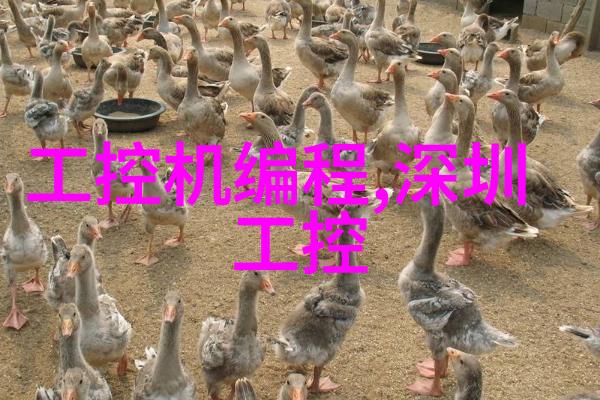 如何选择合适的色彩搭配来提升客厅装修设计的视觉冲击力