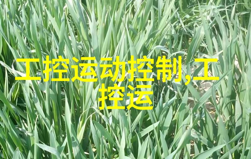 一个人看的片WWW高清我眼中的电影WWW高清之旅