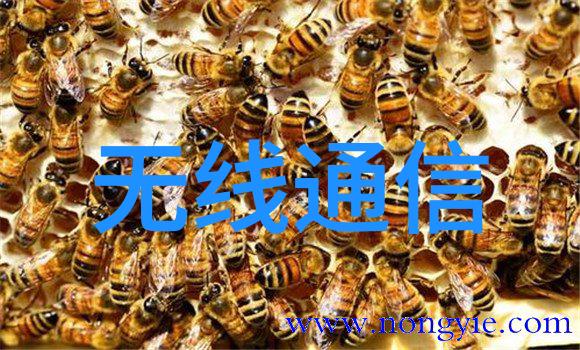 环保利器大幅打折精选废气处理设备直供市场