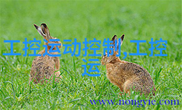 测量计量仪器我是怎么用它来精确计算家庭用的水电费的