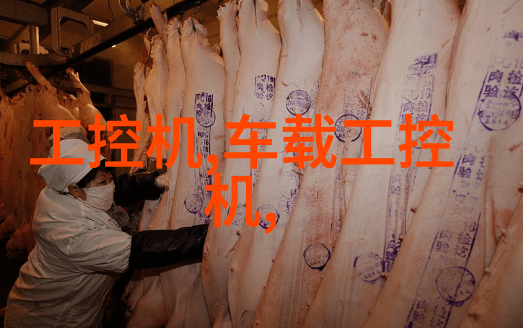 工业纯水机的设计与应用研究以高效除污技术为核心的新一代纯水生产系统