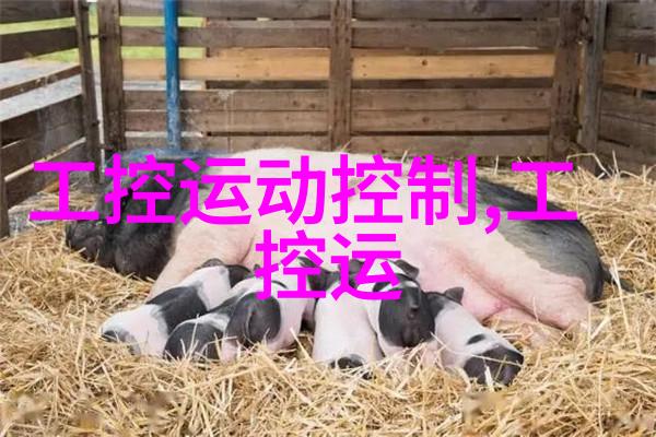分子诊断的前沿核酸采样工作站的精彩实录