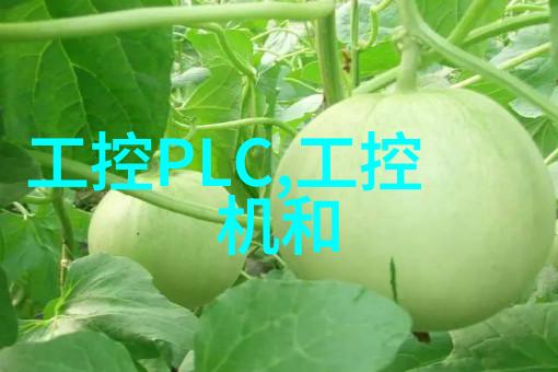 化学反应室的精巧布局工艺流程中的关键角色