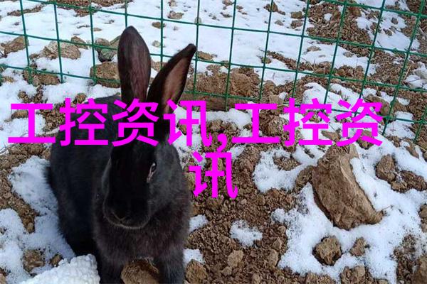 化学实验-反应釜图解揭秘制药过程中的关键设备