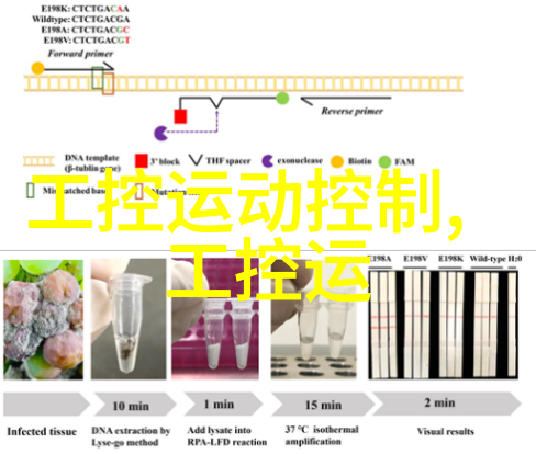 如何进行塑料造粒机的日常维护和保养