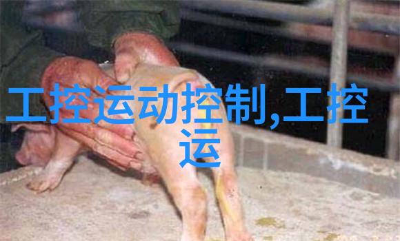 不锈钢管退火炉-高效率热处理技术的精妙之处