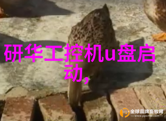 危机管理大师从垃圾变废为宝的第三方奇迹