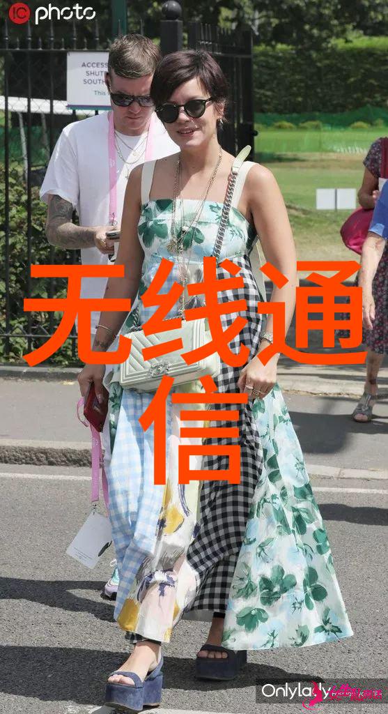 构建全方位保障网络确保社会稳定与发展