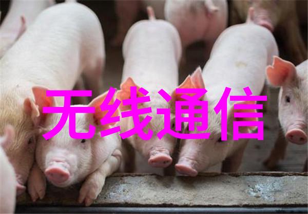 华北工控与Intel完美结合新品与精品层出不穷嵌入式应用实例为您解锁智能未来