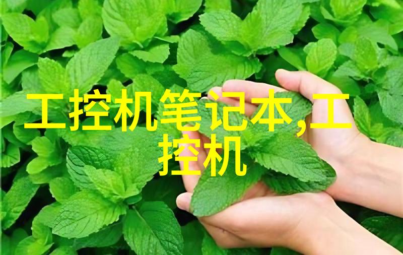 环境净化设备我的空气净化器室内小伙伴的清新守护者