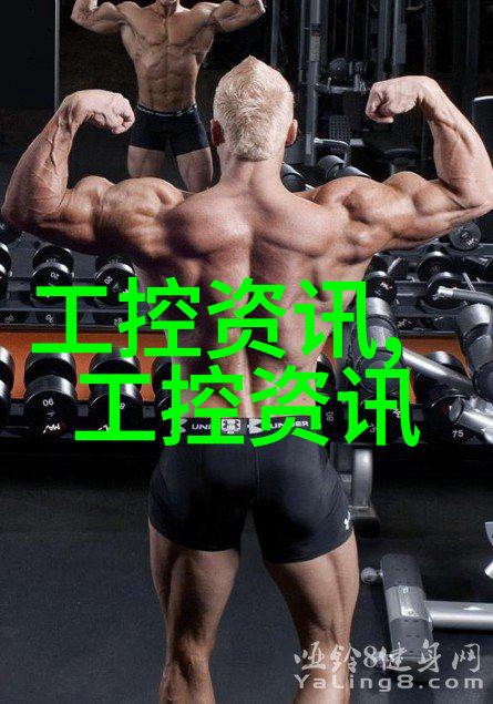 防水屋脊的重要性与选择合适的防水材料