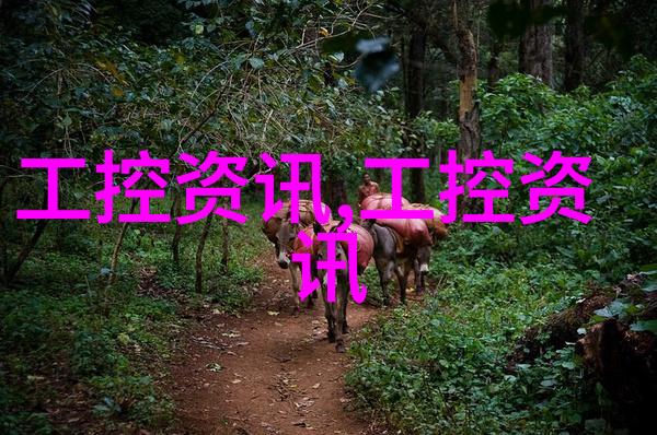 豪华居所梦想精致别墅设计装修艺术探索