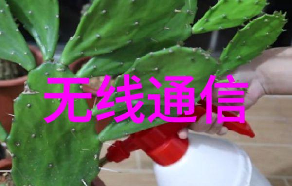 工业袋式除尘器制造商清洁空气的专家