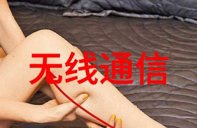 木质元素与流线型家具