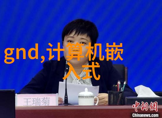 黑帮老大的日记365天的权力与背叛