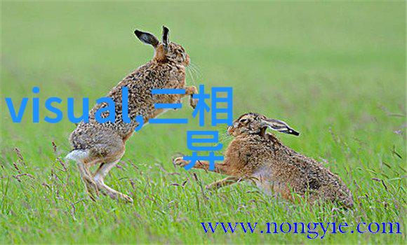 了解不同地区的水源质量差异通过检测仪指标进行比较研究