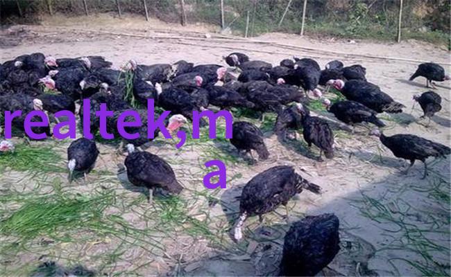 如何优化喷漆房的通风系统以提高工作效率和环境质量