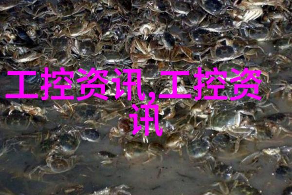 反应器内部构件的精妙世界揭秘关键部件与操作原理