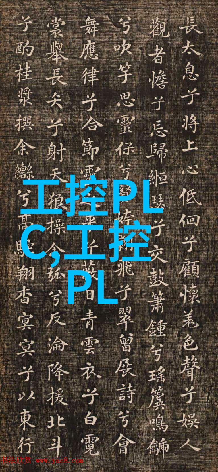 人才评估测试干什么的我是如何通过星辰大海的能力测验找到自己的梦想职业的