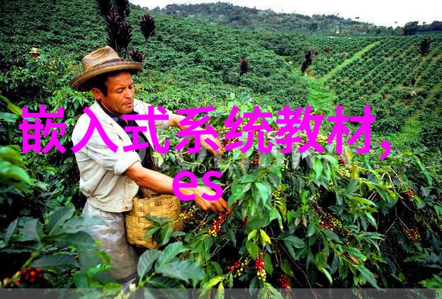 倾世皇妃穿越时空的华丽旋律