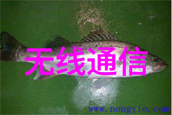 家居美学探索完美客厅装修样板图