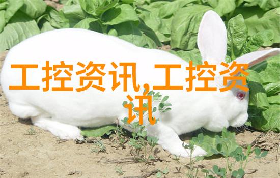 水源之泉净化设备的守护者