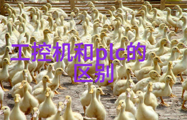 你知道吗我是怎么查到直饮水的质量的