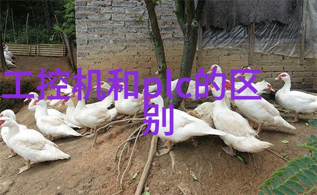 物流设备驱动现代供应链效率的关键技术与创新