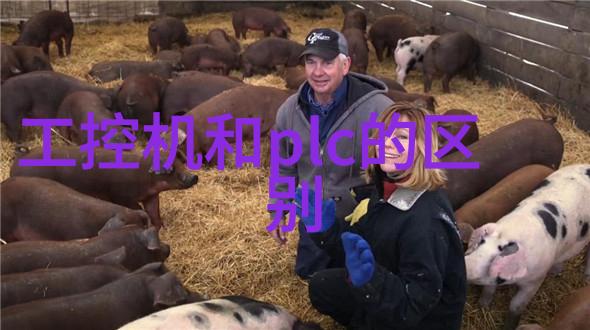 华北工控数码库DS-1220国外评测报告抢先发布揭秘嵌入式计算机的未来之路